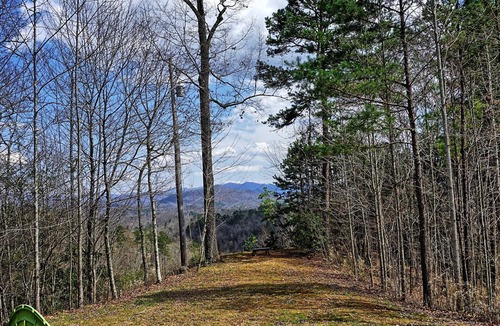 Almond Cottage | Tsali View Cottage-High Speed Wifi - Fire Pit & Mountain View!