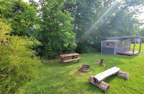 Jonesville Cabin | Vintage Camper Cabin on Beautiful Farm Near Ark & Bourbon Trail