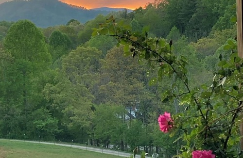 Leicester House | Welcome to Carol's Castle! Mountain views & horses within 15 min of DT Asheville