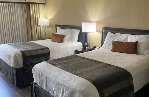 Springfield Hotel | Wingate by Wyndham Springfield