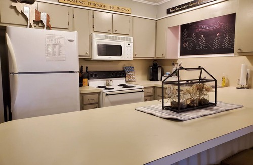 Ghent Condo | Winterplace 3BR/2BA Condo - Gorgeous View - Ski in Ski out