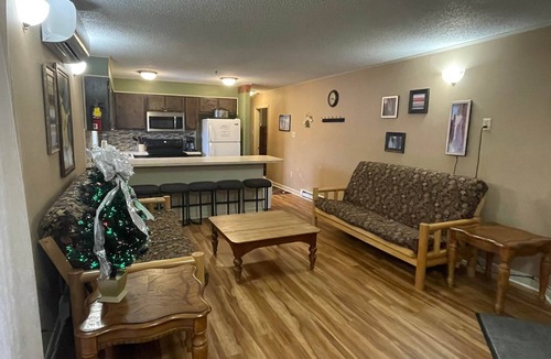 Ghent Apartment | Winterplace Condo E301