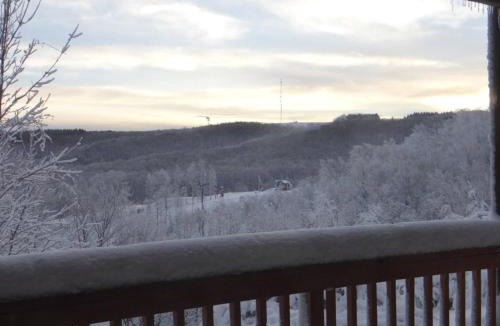 Ghent Apartment | Winterplace Condos - Ski In Ski Out! E101