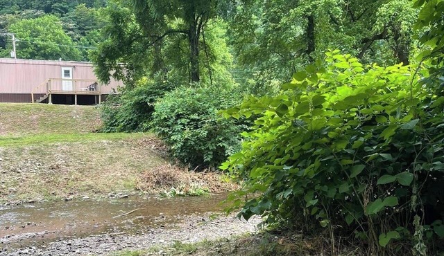 2 Bedroom Creekside Getaway Near the Hillbilly Trail System