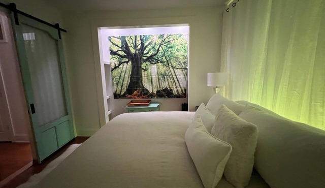 3-suite cottage spa (aaaah!) house—amenities galore, in historic Madison Indiana