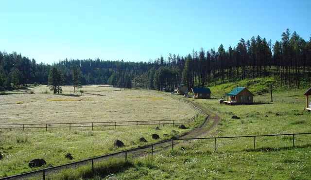 A peaceful setting for guests to relax and unwind. 18 Guest, 2 floor cabin in Blue