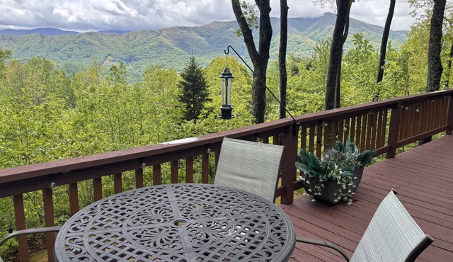 Cardinals Nest In The Smokies ~ Family Friendly
