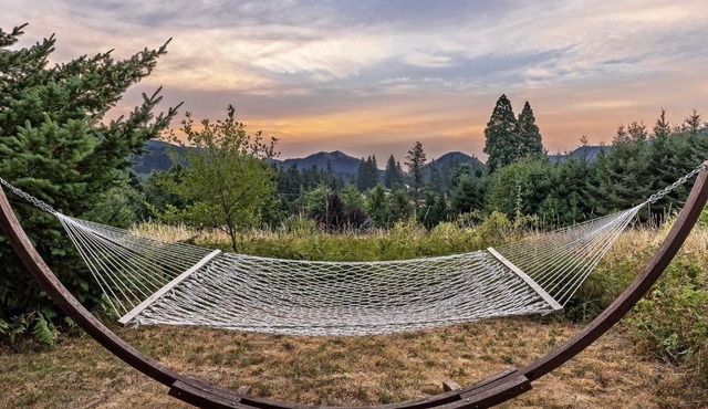 Carson Ridge Luxury Cabins in Carson