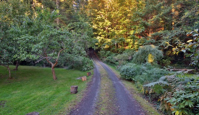 Charming Waterfront Cottage-NO CLEANING FEE-Water, Mountain & Sunset View in Freeland