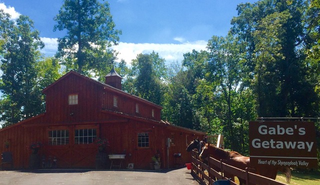 Come visit and spend some time with our 2 and 4 legged friends!