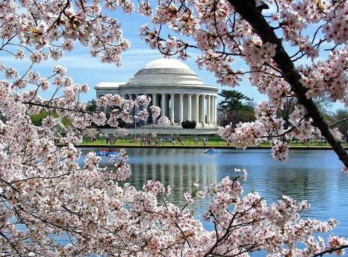Convenient Studio Apartment in Shepherd Park, DC in Washington