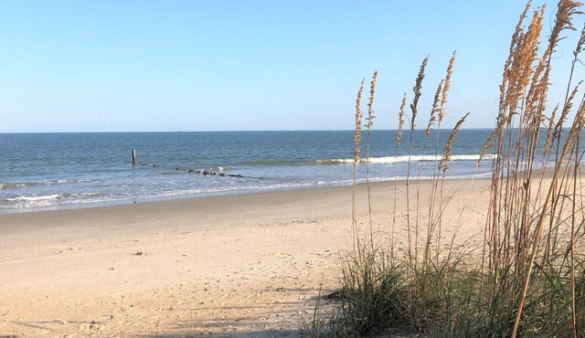 Cottage with private beach!