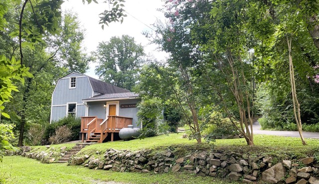 Cozy 1 bed suite, tucked away in the forest but only 4 miles from downtown!