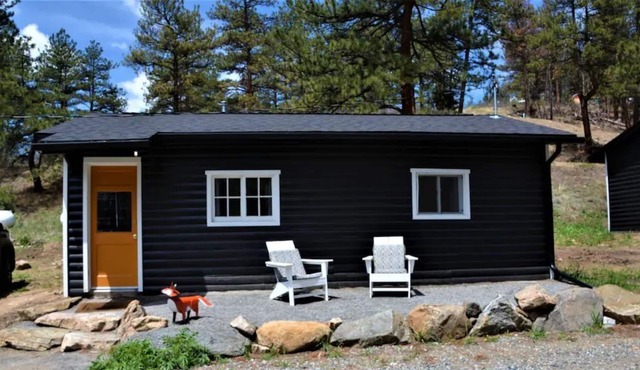 Cozy Bailey Cabin- Fox in Bailey