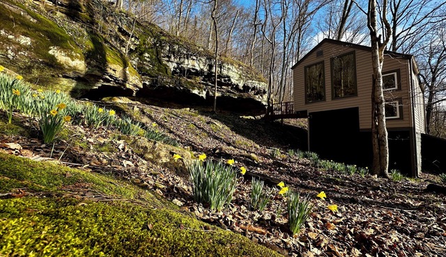 Cozy Bluff Retreat by Giant City & Makanda Boardwalk. 9 miles to SIU.