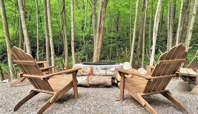 Cozy Cove Cabin -Fire Pit - Porch Swing in Clyde