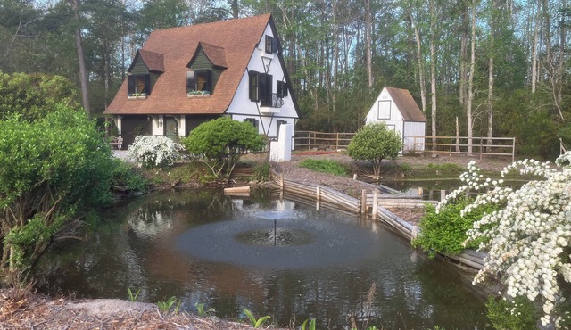Cozy Story Book Cottage very private custom home in gorgeous Little River