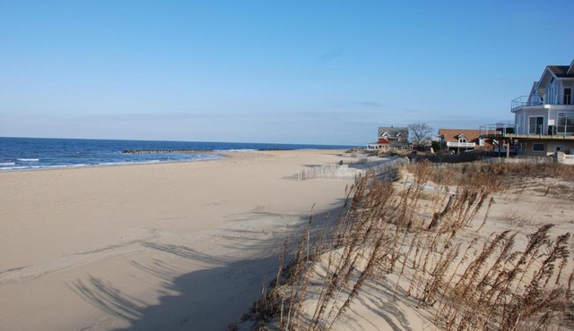 Cozy Suite - Pet friendly, Beach Side apts