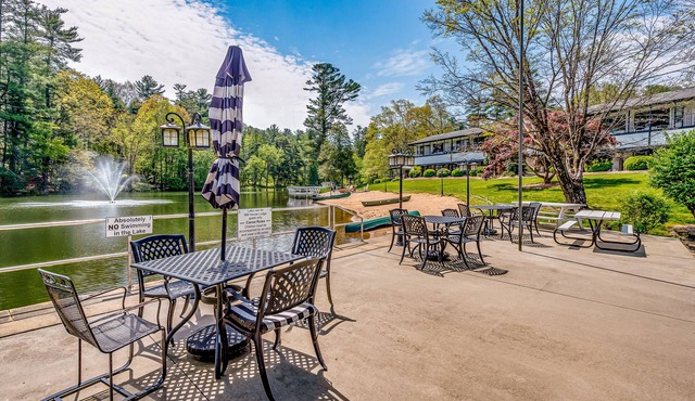 Dog-friendly gem on the lake with pool, beach, lush acreage, fast WiFi & kitchen