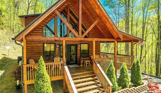Experience serene forest views at the Mountain Loft