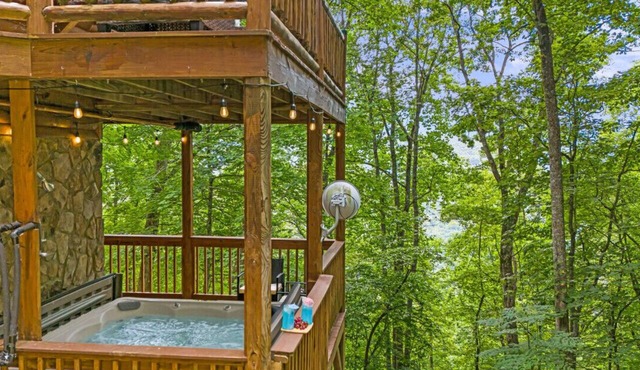 Firefly Lodge; movie theatre|hot tub|game room
