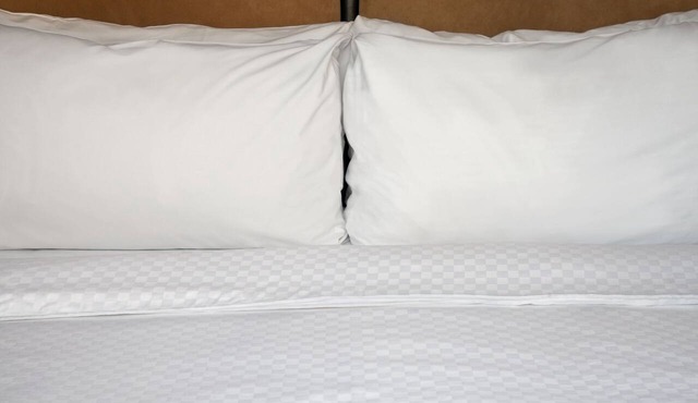Four Points by Sheraton Mall of America Minneapolis Airport in Richfield