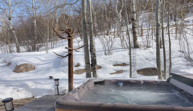 Golf Course Access - Private Hot Tub, Game/Media Room - Valet Parking at Ritz Carlton in Edwards