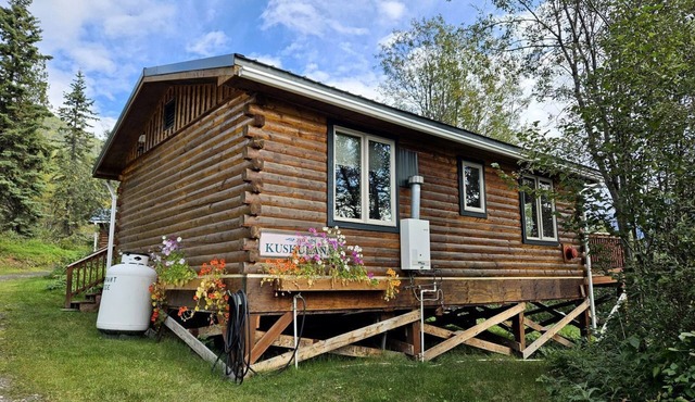 Gorgeous Log Cabin with Incredible Views from the Private Deck in McCarthy, Alaska in McCarthy