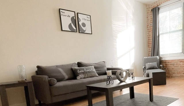 Historic beauty in the Shockoe, full bd/1bth/5 mins to VCU