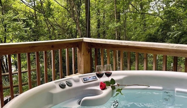 Hot Tub Private Cabin Fenced Yard Fireplace Min to DT, Biltmore, Blue Ridge Pkwy