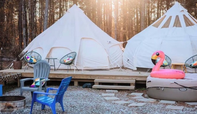 Kettles Corner Yurt with llamas, fluffy cows, and snuggly sheep