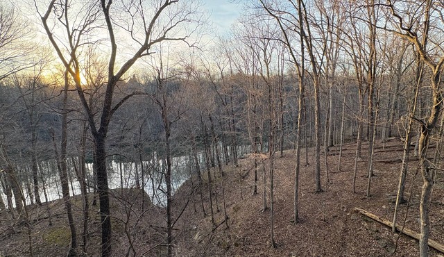 Lake Monroe treehouse - Bloomington