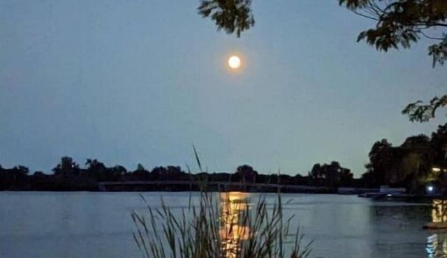 Lakefront Comfy 1BR Cabin @ The Lake-Heim by Chain-O-Lakes