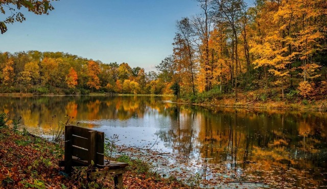 Lakefront + Hiking Trail + Huge Family Friendly House + near Ark Encounter
