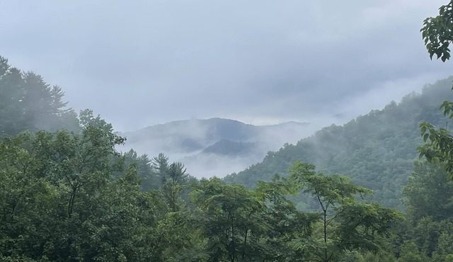 Laurel Lodge/Single-Story 4BR Creek Cabin/Hot Tub/Pet-Friendly/Sleeps 10