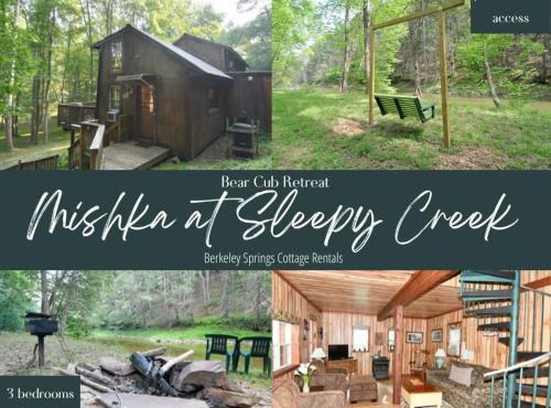 Mishka (Bear Cub Retreat)at Sleepy Creek