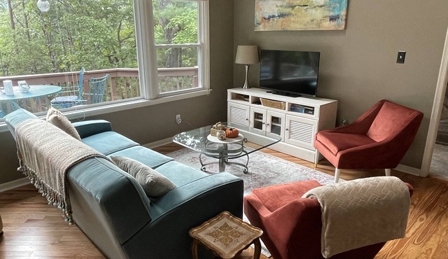Modern with View, Pippin Cottage is between CRVillage & Lake Lure Beach