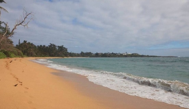 🌸Moku Paradise🌸 - Beach | PCC in Laie
