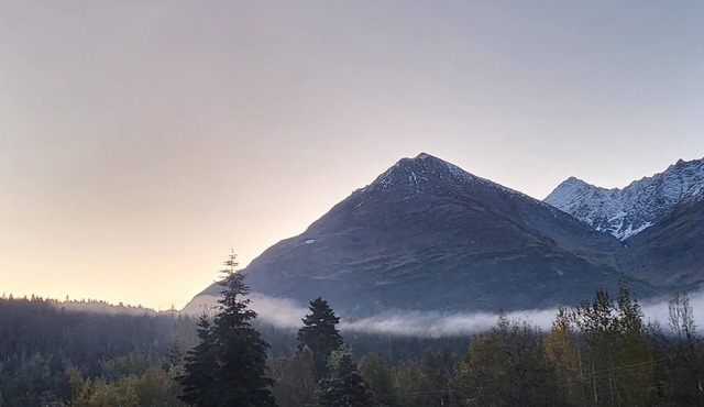 MOOSE PASS OASIS; A friendly community and must stop when visiting the Kenai. in Moose Pass