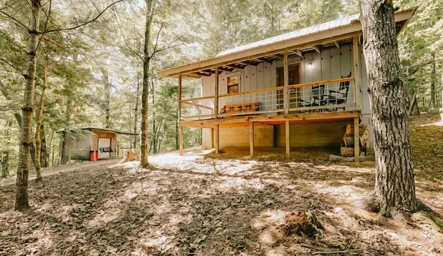 Mountain Cabin with creek and hiking trail! Minutes from Blue Ridge