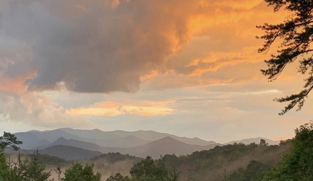 Mystic Smoky Mornings: Incredible Views, Fireflies & Starry Skies!