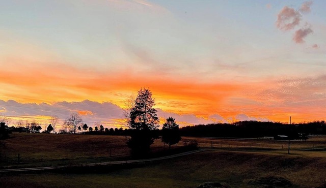 Peaceful Paint Rock Cottage-Pets OK-2 King beds-No Fuss Checkout