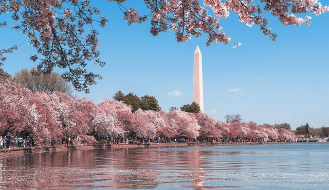 Perfect Capitol Hill Location - Close to Sights, Restaurants and Transportation