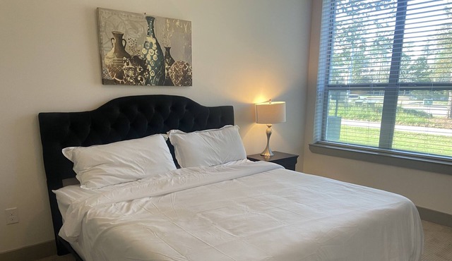 Pool View 2 bed/2 bath Apartment in Spring, TX in Spring