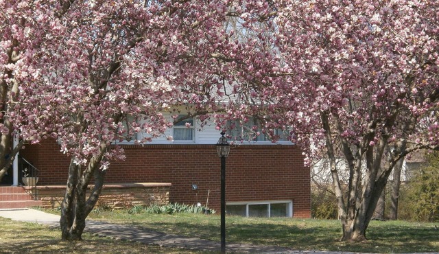 Private Entrance with off street Carport Parking!
