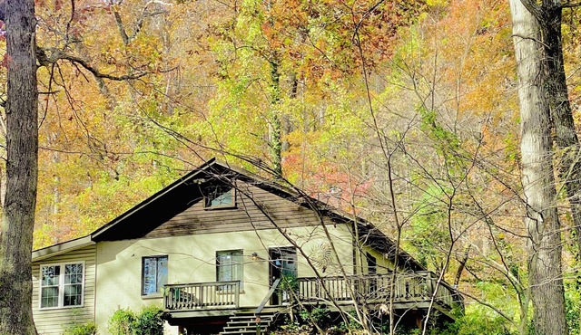 Private Mountain Cottage on 7 Acres & Creek