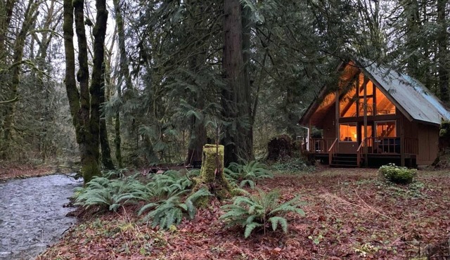 Pull out and relax in the Retro Cabin in Maple Falls