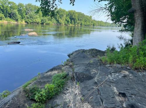 Riverview Cabin on the James