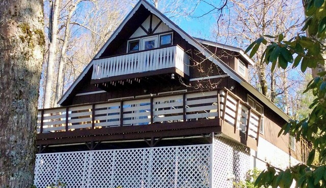 Rustic, cozy chalet close to fishing & hiking - Dog Friendly