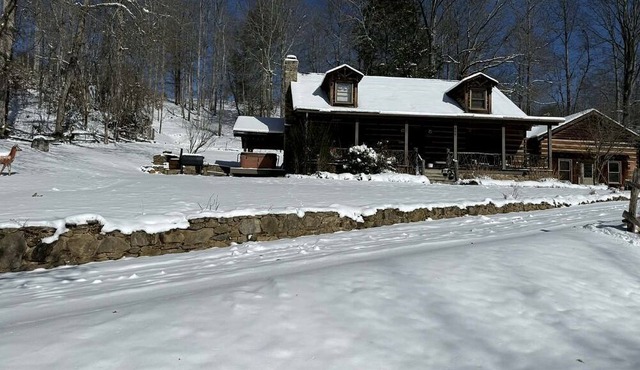 Rustic Log Cabin Rental with a Hot Tub near Asheville, North Carolina